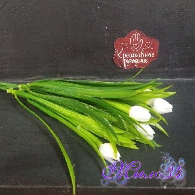 Букет тюльпанов 7 веток белый