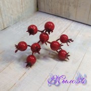 Ветка с ягодами шиповника 9 ягод