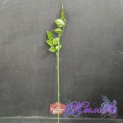 Стебель для розы пластик 2 листа 45 см