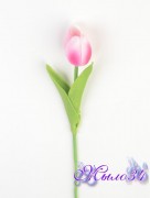 Тюльпан одиночный, цвет в ассортименте, шт